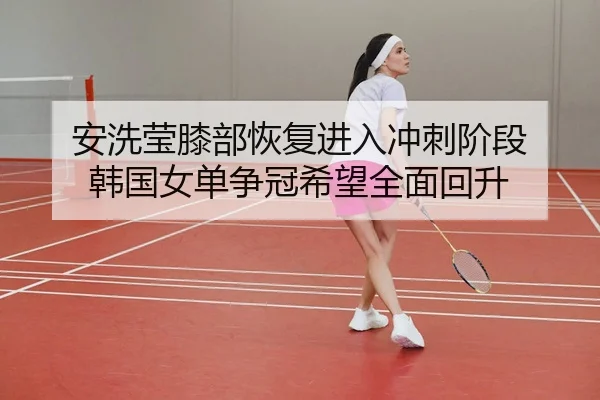 安洗莹膝部恢复进入冲刺阶段 韩国女单争冠希望全面回升 | PGemulator